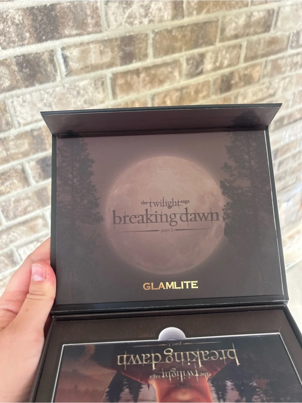 Glamlite x Twilight Breaking Dawn Team Jacob Face & Body Palette